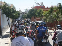 XVII Concentracion - 2010